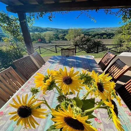 Todi By The Poolsleeps 10exc Poolwalk To Restaurant 05 Kms Todi 5 Kmswifi Hotel