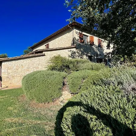 Todi By The Poolsleeps 10exc Poolwalk To Restaurant 05 Kms Todi 5 Kmswifi Petroro