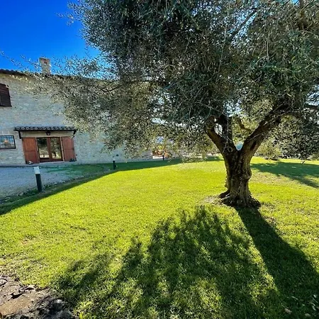 Todi By The Poolsleeps 10exc Poolwalk To Restaurant 05 Kms Todi 5 Kmswifi Hotel Petroro